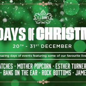 Celebrate all things Festive at D.J. Quinn’s 10 Days of Christmas